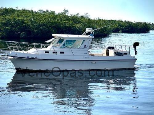 Albin 30 Family Cruiser Tekniset tiedot ja arvostelut